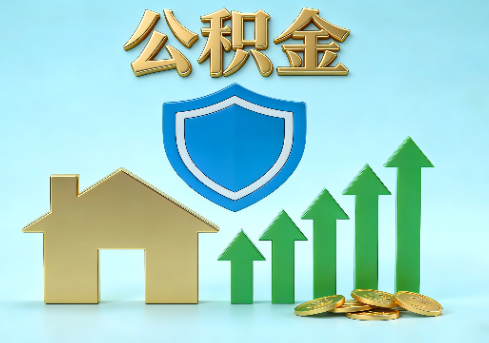 怒江当前住房公积金提取条件分类指南与政策趋势